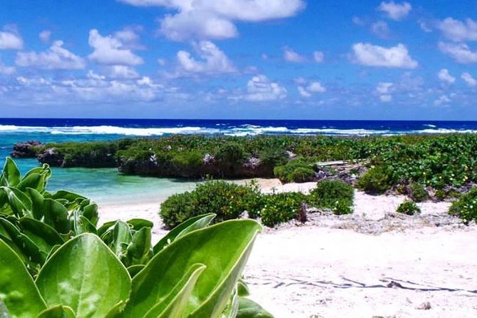 Horse Riding in Port Vila with Yumi Tours - Reaching white-sand Etmat Bay