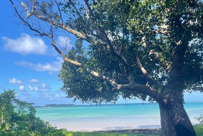 Horse Riding in Port Vila with Yumi Tours - Bareback into the bay