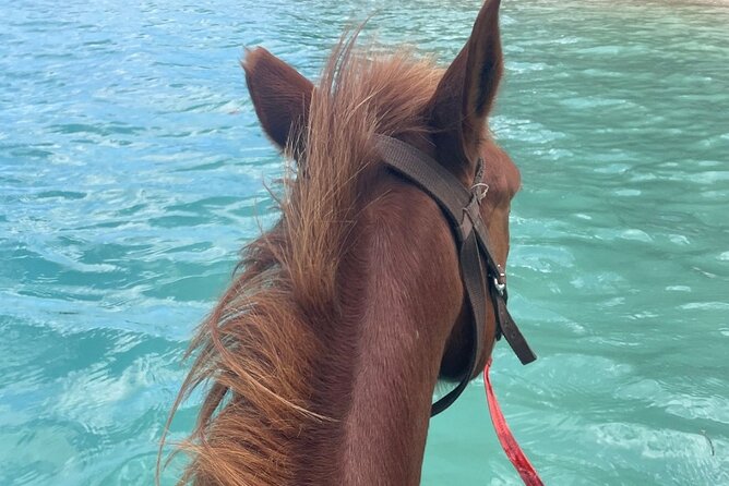 Horse Riding in Port Vila with Yumi Tours - How much value do you get for $135?
