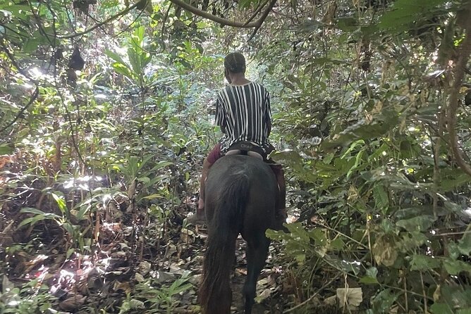Horse Riding in Port Vila with Yumi Tours - Useful details before you go