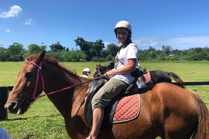 Horse Riding in Port Vila with Yumi Tours - The rainforest trail sets the pace