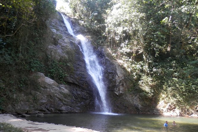 iconic waterfall tour - Walking through the rainforest to the waterfall