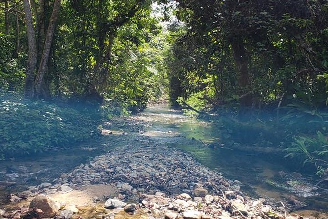 iconic waterfall tour - Natadola Beach and your free time