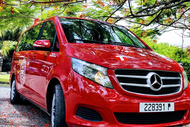 International private transfer, arrival departure, airport pier hotel rental - Meeting your driver at Faa’a Airport