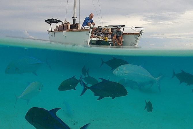 Introduction to sailing and discovering the lagoon - A cultural lesson that does not feel like a classroom
