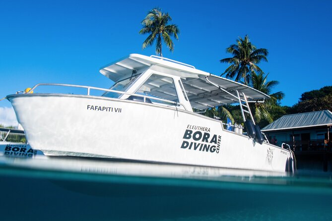Introductory Dive in Bora Bora (afternoon) - Why the small instructor ratio matters