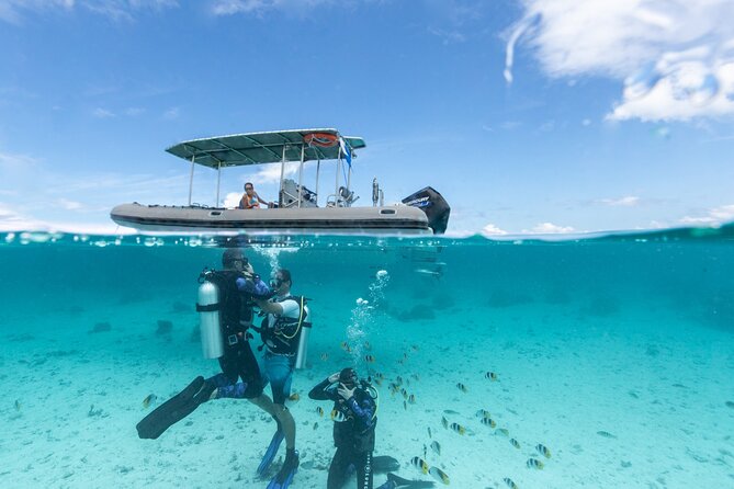 Introductory Scuba Diving Experience in Bora Bora - Key points for your Bora Bora scuba session