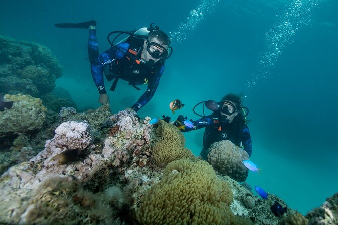 Introductory Scuba Diving Experience in Bora Bora - Why Bora Bora’s lagoon suits first-time scuba