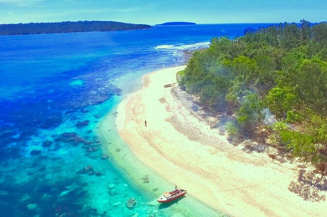 Island Day Tour Santo's Best Snorkeling Marine Sanctuary - Why Dany Island is Santo’s strongest snorkeling day
