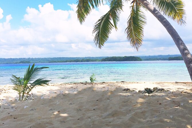 Island Day Tour Santo's Best Snorkeling Marine Sanctuary - Kayaks and surfboards give you a useful backup
