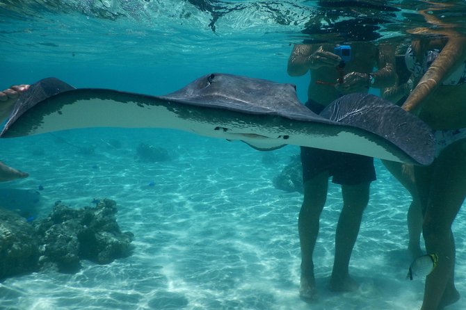 Jet-ski excursion 3 hrs Jet ski excursion to Moorea (single or two-seater) - Is $133.61 a fair price?