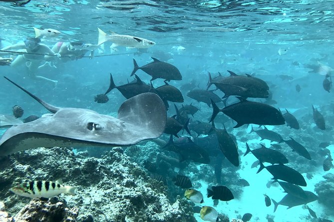 Jet Ski Moorea Customed Tour only - Guides, photos, and the human touch