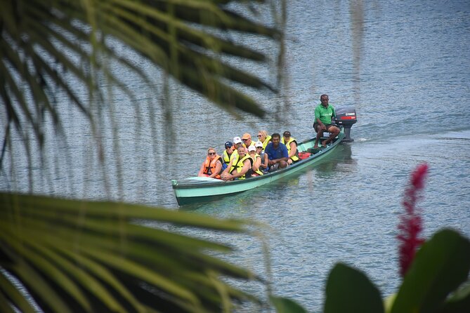 Jewel Of Fiji Day Tour from The Marriot & Shangri-La Resort - From Momi to Fiji’s adventure district