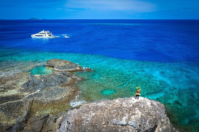 Kuata Island Marine Conservation Experience with Lunch - Key points at a glance