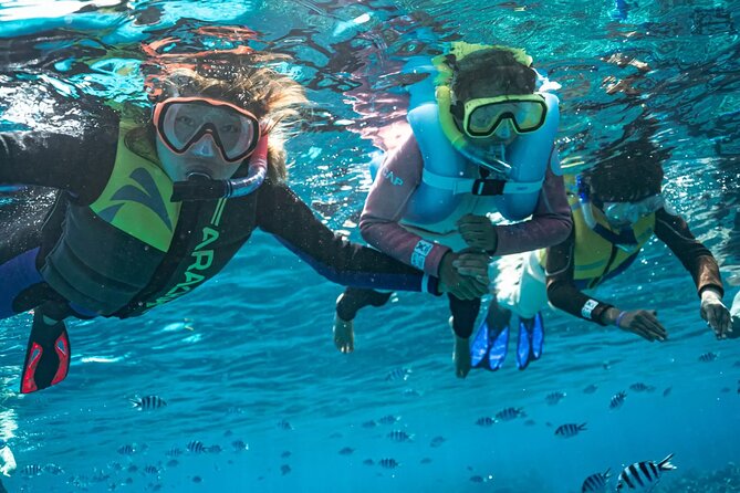 Kuata Island Marine Conservation Experience with Lunch - Why Kuata makes a good day away from Denarau