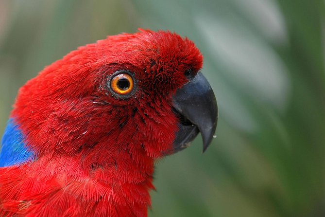 Kula Eco Park Admission - Key things to know before you go
