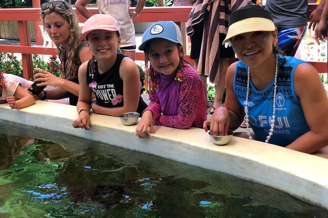 Kula Eco Park Admission - Feeding the hawksbill sea turtles