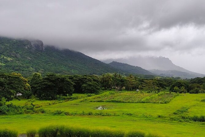 Kula Eco Park Admission - Food, restrooms, and the value of a full day