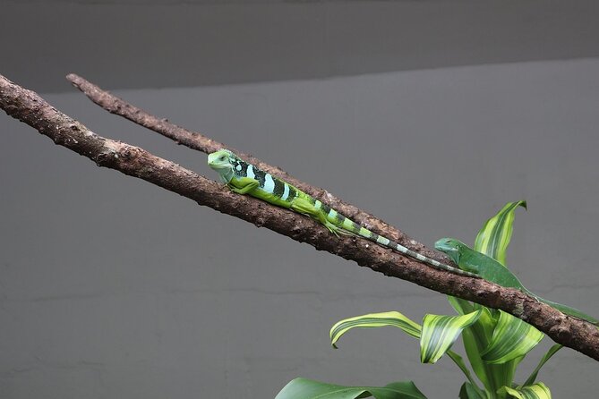Kula Eco Park Admission - Who will enjoy Kula most?