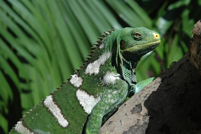 Kula Eco Park Admission - Starting with the Land and Sea building