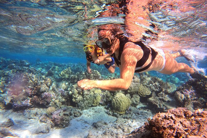 Lagoon and Marine Wildlife Tour in Moorea - What the three-hour schedule feels like