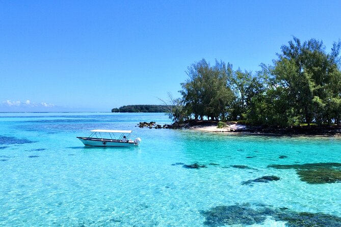 Lagoon and Marine Wildlife Tour in Moorea - Practical details at Plage de Tiahura