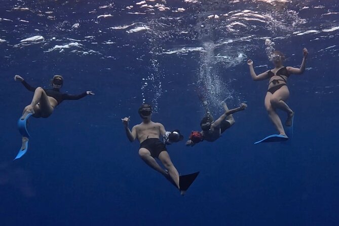 Lagoon and Marine Wildlife Tour in Moorea - The sandbar stop and reef time