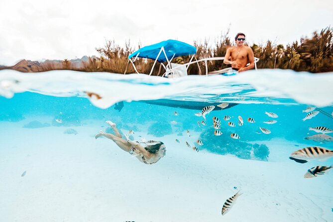 Lagoon and Wildlife Discovery on a Private Boat in Moorea - A Private Start on Moorea’s Turquoise Lagoon
