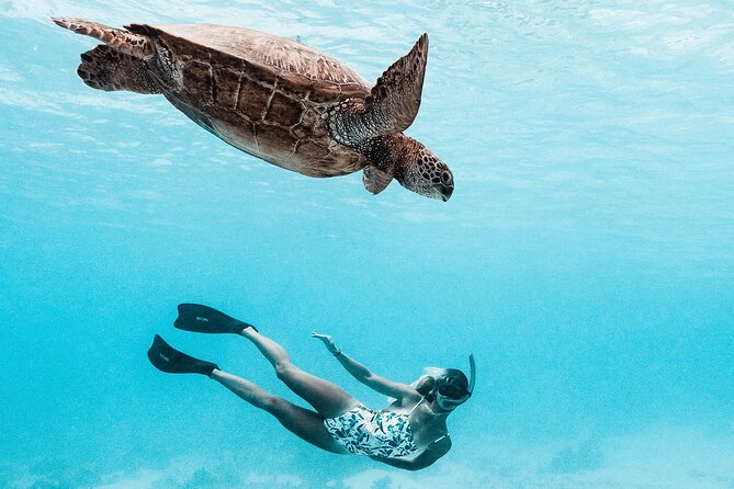 Lagoon and Wildlife Discovery on a Private Boat in Moorea - Coral Gardens Near the Motus