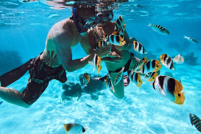Lagoon and Wildlife Discovery on a Private Boat in Moorea - Fruit, Juice, and a Short Island-Style Break