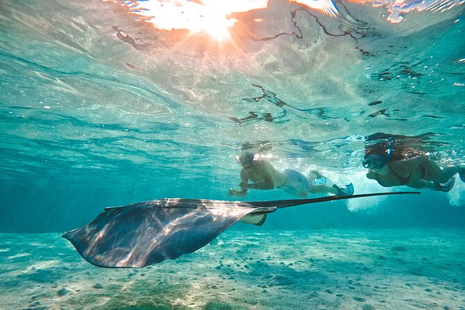 Lagoon and Wildlife Discovery on a Private Boat in Moorea - Guides Who Adjust the Experience