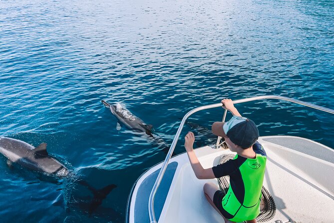 Lagoon and Wildlife Discovery on a Private Boat in Moorea - Who Will Get the Most From This Boat Trip?