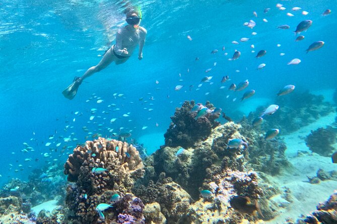 Lagoon and Wildlife Discovery on a Private Boat in Moorea - Booking, Weather, and Cancellation Details