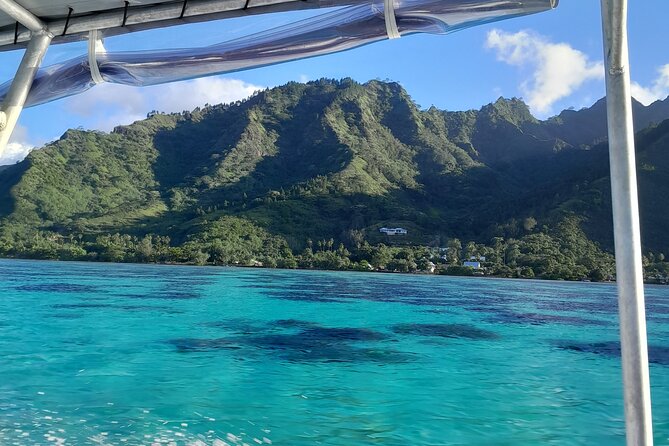 Lagoon Exploration and Snorkeling in Moorea - Meeting stingrays and black tip reef sharks
