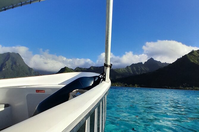 Lagoon Exploration and Snorkeling in Moorea - Sea turtles and dolphins at the reef edge