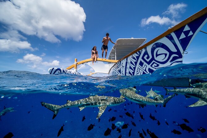 Lagoon Snorkeling Tour with Tahitian Oven Lunch in Bora Bora - Weather, cancellation, and what is not specified