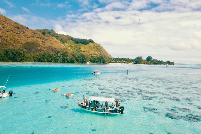 Lagoon Tour - Discover the magnificent lagoon of Moorea - Key points to know before you book