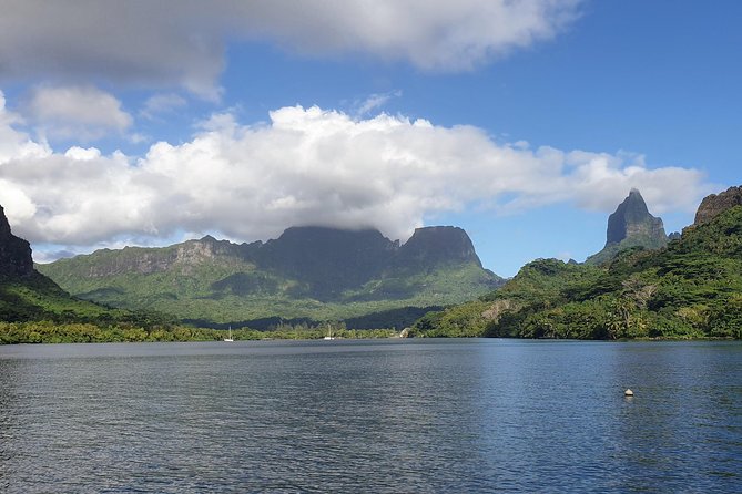 Lagoon Tour - Discover the magnificent lagoon of Moorea - What the Moorea lagoon tour is really like