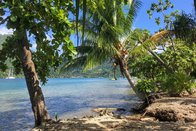 Land and Sea cultural tour to discover traditions, heritage and the lagoon - A private cultural center with no staged show