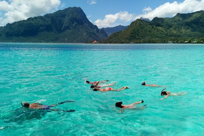 Land and Sea cultural tour to discover traditions, heritage and the lagoon - How the group size changes the experience