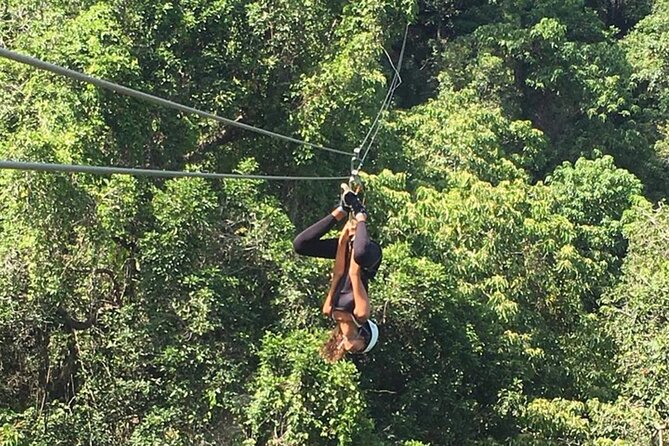 Largest Zipline in South Pacific & Cave Exploration Coral Coast - The atmosphere: friendly, active, and not too polished