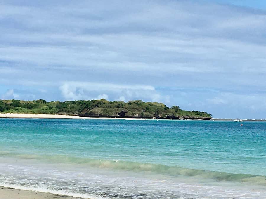 Lautoka Cruise Ship to Natadola Beach Round Trip - Who will enjoy this beach trip most