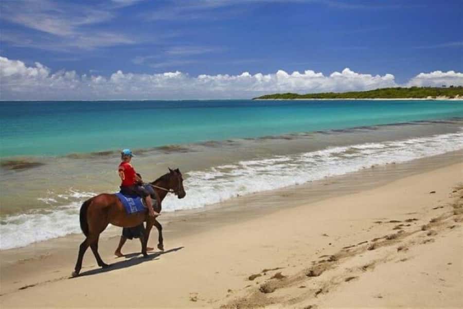 Lawai Pottery Village & Natadola Beach Kava Ceremony & Meke - What the guide can add to the day