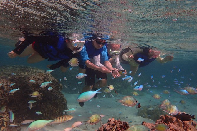 Learn to Stand Up Paddleboard! Includes 5 Star Snorkeling Tour! - Who will enjoy this Guam SUP and snorkel tour