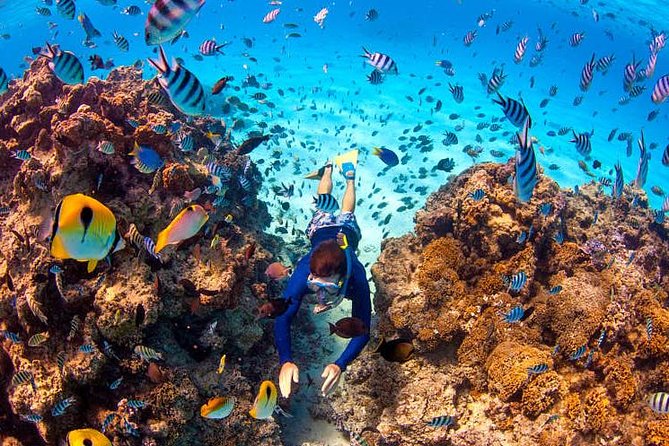 LUXURY PRIVATE Catamaran Bora Bora : Half-Day Trip - Snorkeling Above Coral and Marine Life