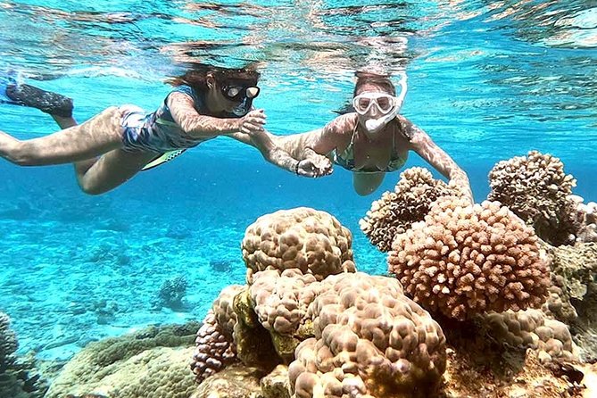 LUXURY PRIVATE Catamaran : Full-Day Sail & Polynesian Motu Lunch - Who should book this sailing day?