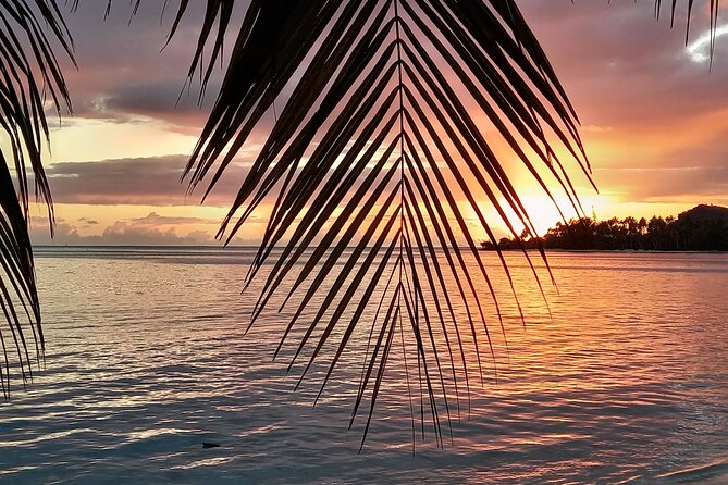 Magical Boat Tour with Underwater Cabin in Bora Bora! - How the small group changes the experience