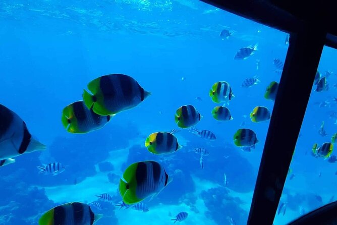 Magical Boat Tour with Underwater Cabin in Bora Bora! - Pickup is convenient, but weather can change the ride