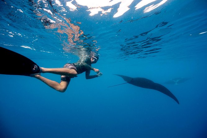 Manta Ray Experience - Lunch, beach snorkeling, and a tight afternoon