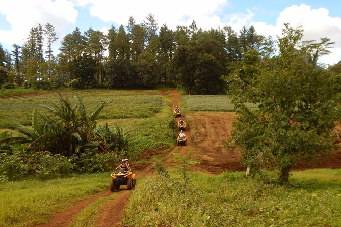 Medium Combo in Moorea of 2 hours of Jetski and 2h30 of Quad - The quad route through pineapple country